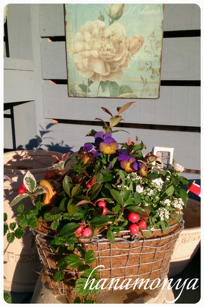 姫路で切り花 鉢花 花苗 観葉植物をご購入なら 姫路市 書写山の麓にあるガーデニングショップの花もん屋 １０月寄せ植え講習