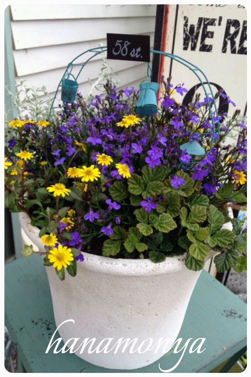 姫路で切り花 鉢花 花苗 観葉植物をご購入なら 姫路市 書写山の麓にあるガーデニングショップの花もん屋 ５月寄せ植え講習