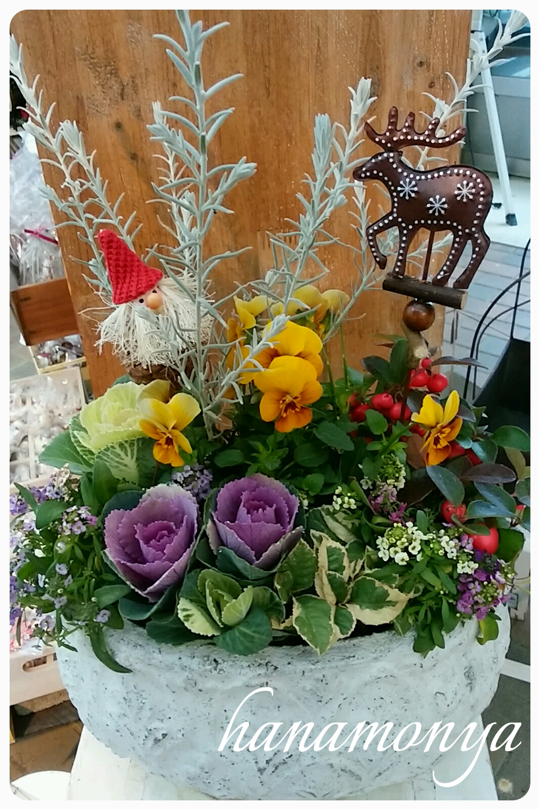 姫路で切り花 鉢花 花苗 観葉植物をご購入なら 姫路市 書写山の麓にあるガーデニングショップの花もん屋 11月寄せ植え講習