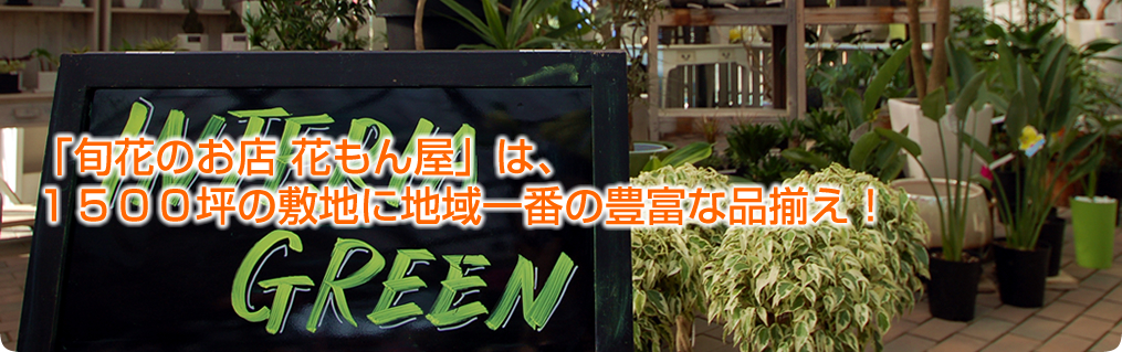 「花もん屋」は、1500坪の敷地に地域一番の豊富な品揃え！